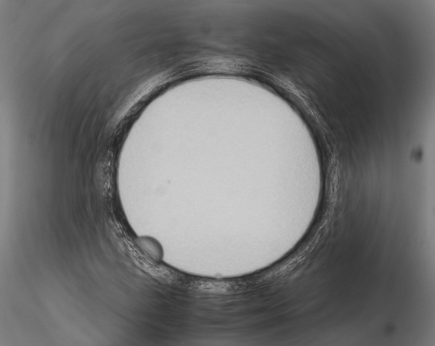 X0000115191211200912091102