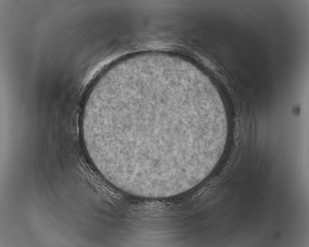 X0000115191214200912091102