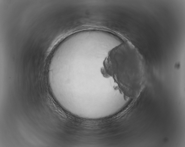 X0000115191215200912091102