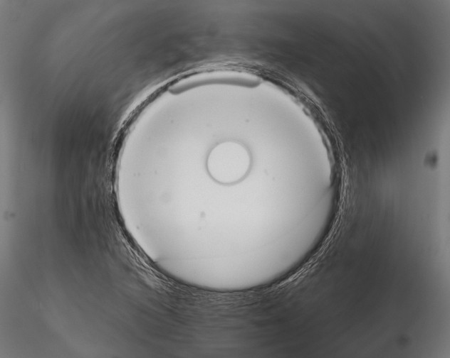 X0000115191216200912091102