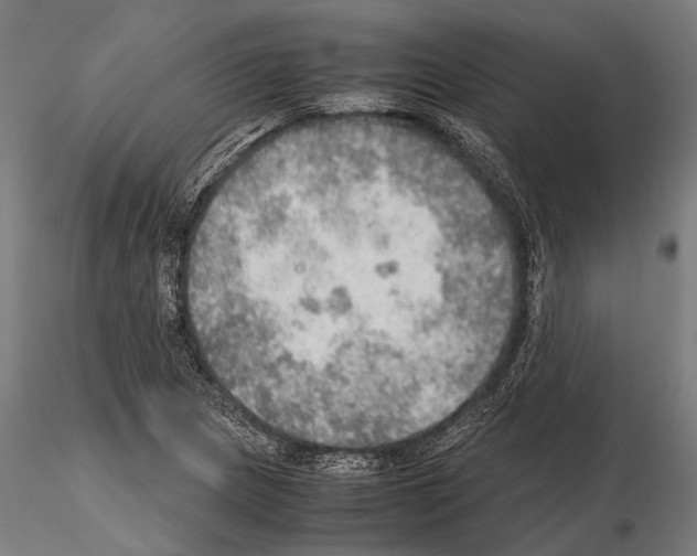 X0000115191217200912091102