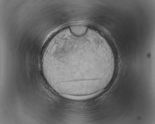 X0000115191218200912091102