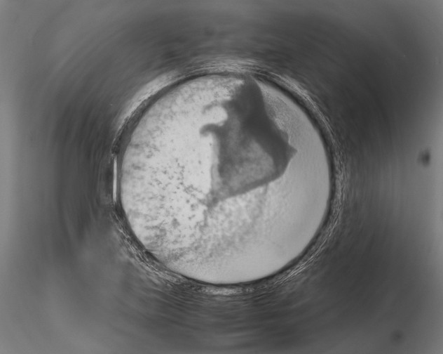 X0000115191219200912091102