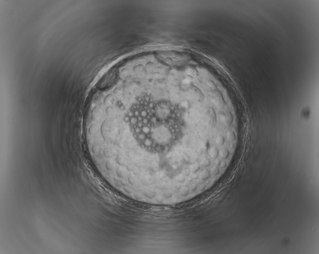 X0000115191220200912091102