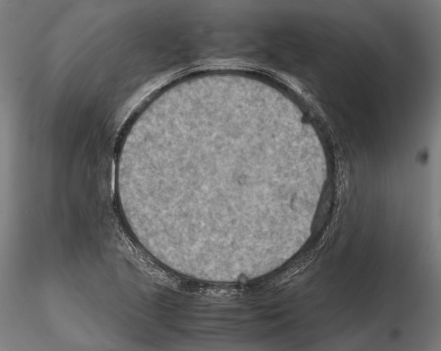 X0000115191221200912091103