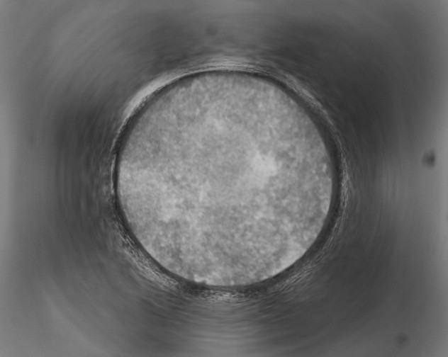 X0000115191222200912091103