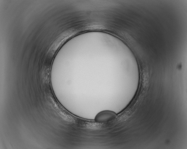 X0000115191225200912091103