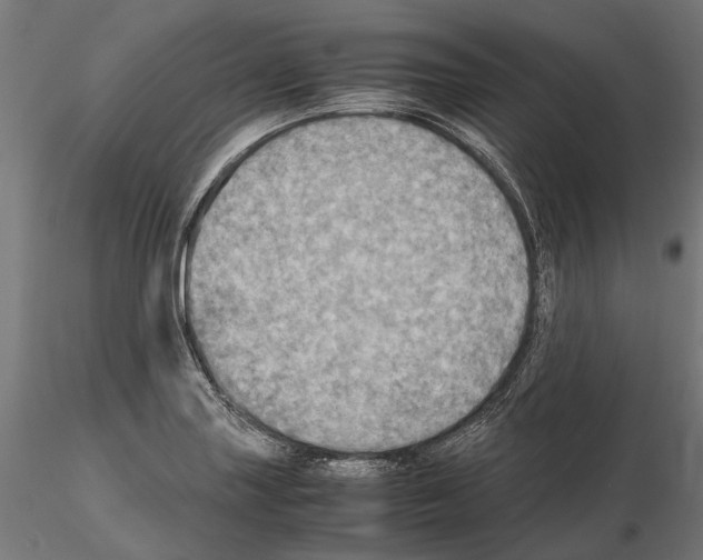 X0000115191227200912091103