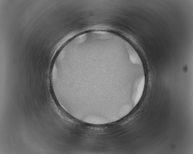 X0000115191229200912091103