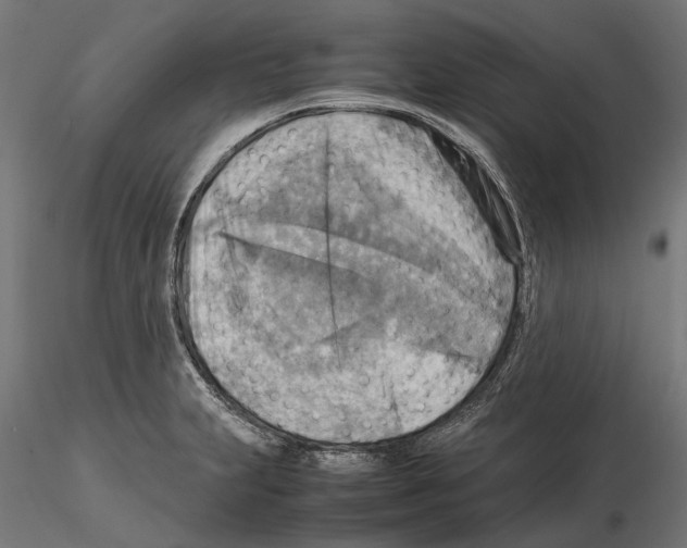 X0000115191231200912091103