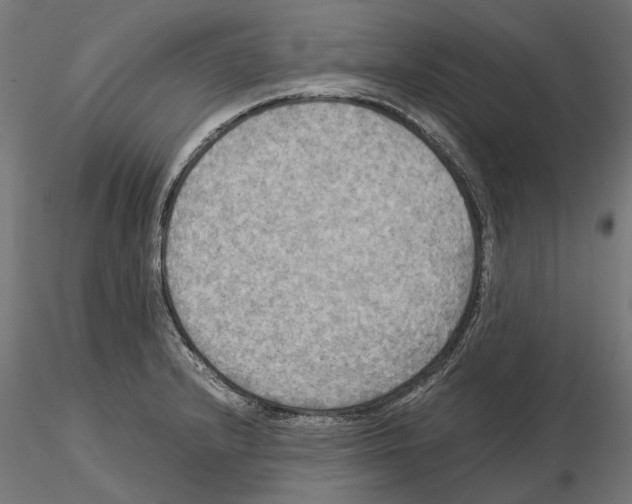 X0000115191232200912091103