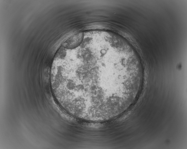 X0000115191233200912091103