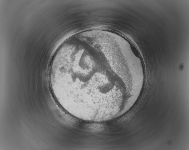 X0000115191235200912091103