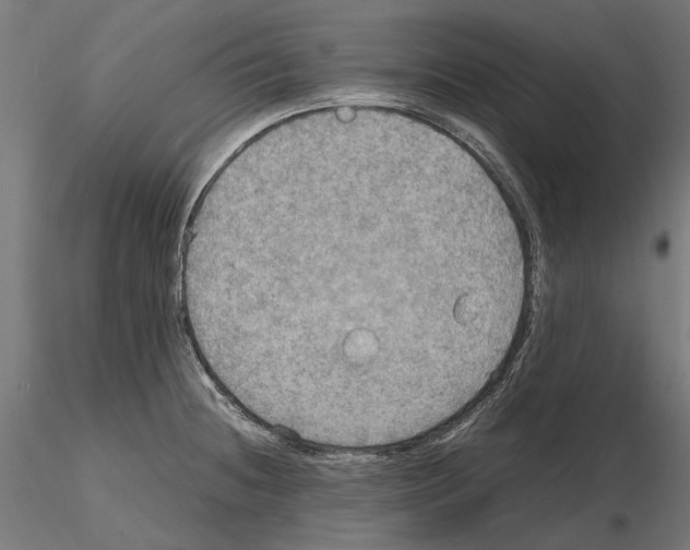 X0000115191236200912091103