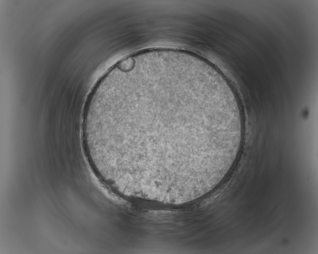 X0000115191237200912091103