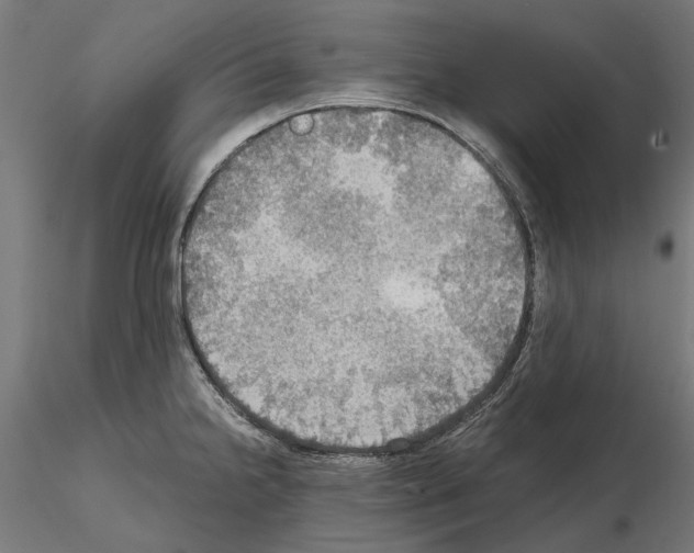 X0000115191238200912091103