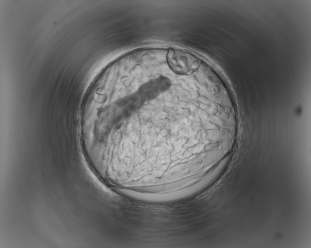 X0000115191239200912091103