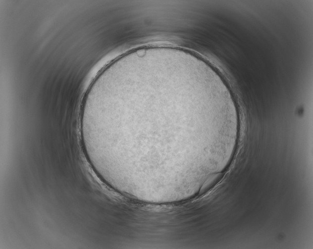 X0000115191240200912091103