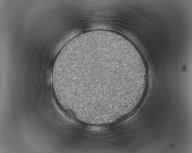 X0000115191241200912091103