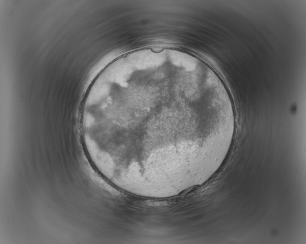 X0000115191243200912091103