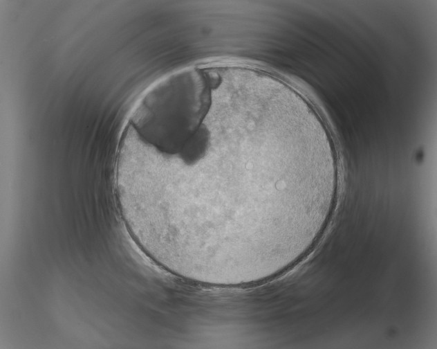 X0000115191244200912091103