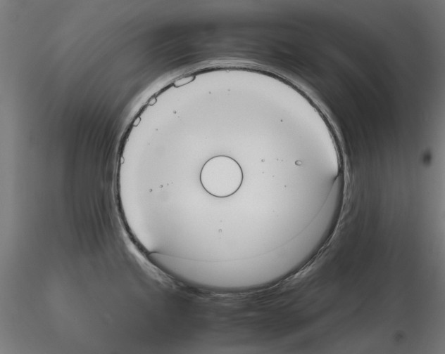 X0000115191245200912091103