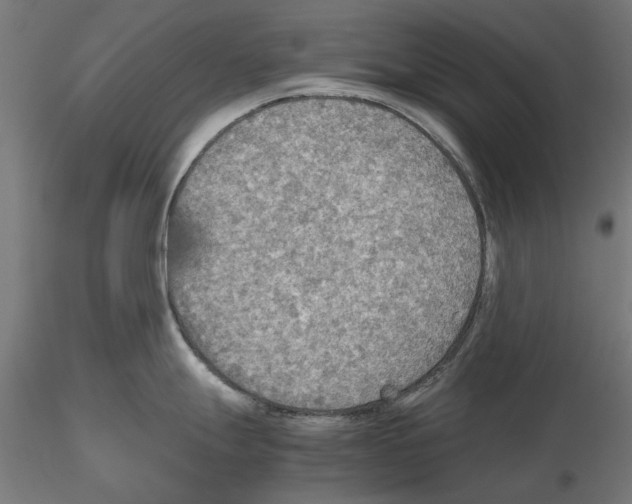 X0000115191247200912091103