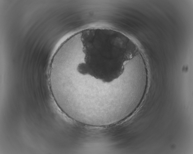 X0000115191248200912091103