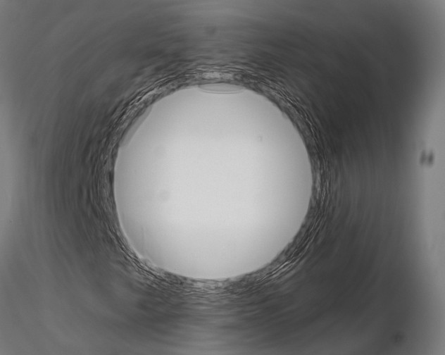 X0000115191249200912091102