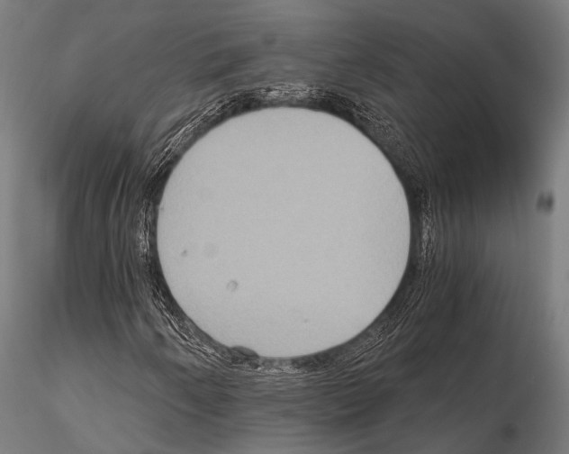 X0000115191250200912091102