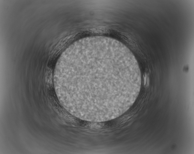 X0000115191251200912091102