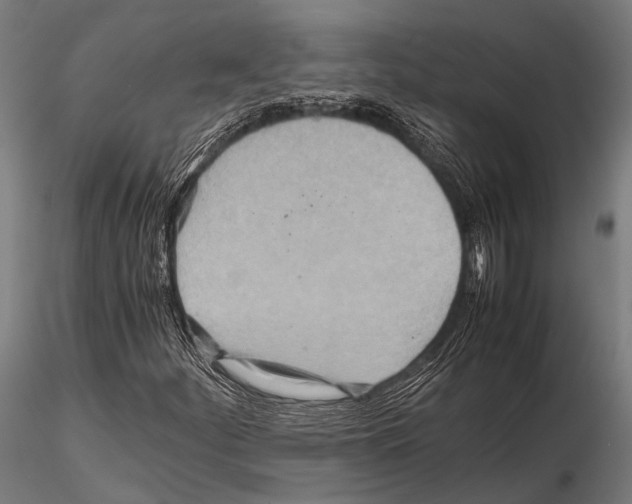 X0000115191252200912091102