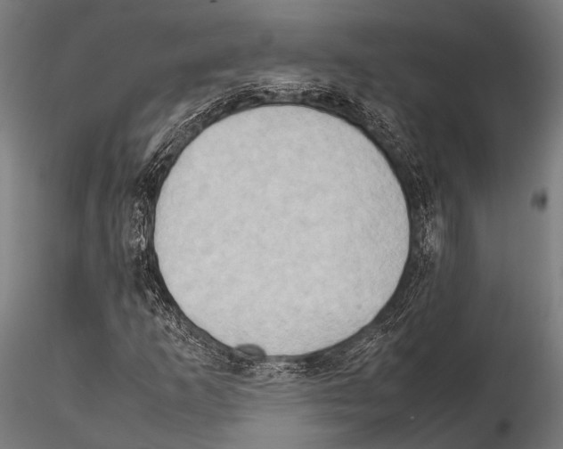 X0000115191253200912091102