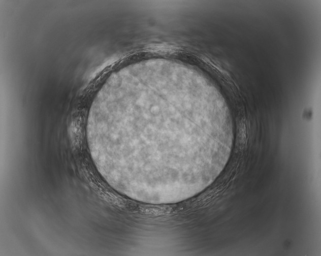 X0000115191254200912091102