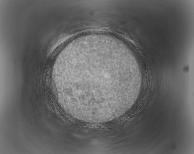 X0000115191255200912091102