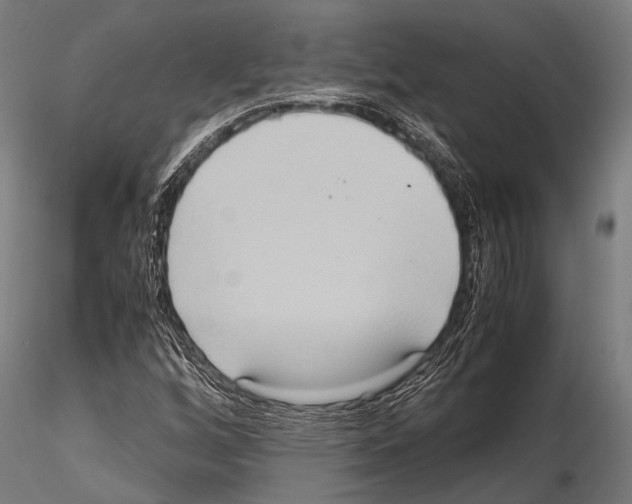 X0000115191256200912091102