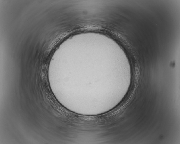 X0000115191257200912091102