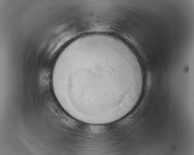 X0000115191258200912091102