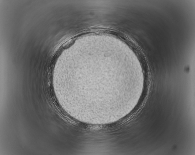 X0000115191259200912091102