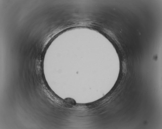 X0000115191260200912091102