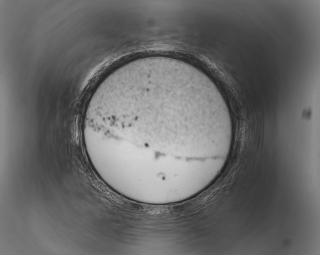 X0000115191262200912091102