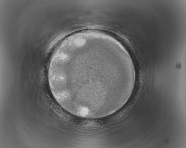 X0000115191263200912091102