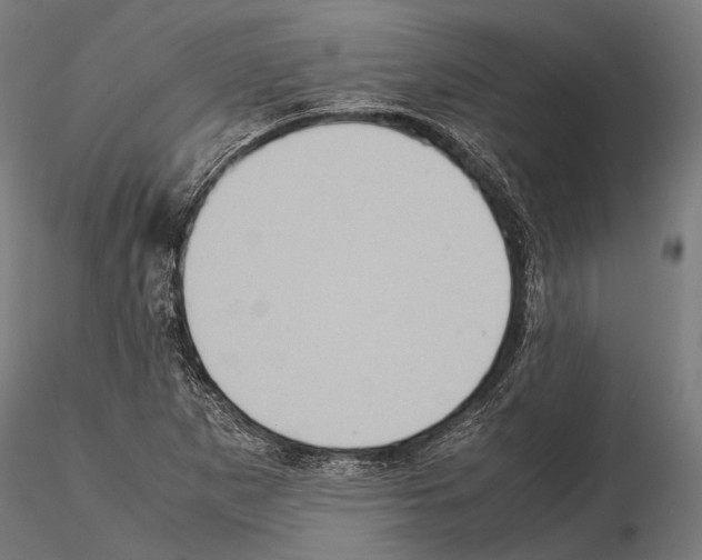 X0000115191265200912091102