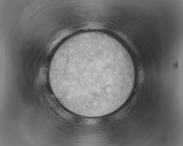 X0000115191266200912091102