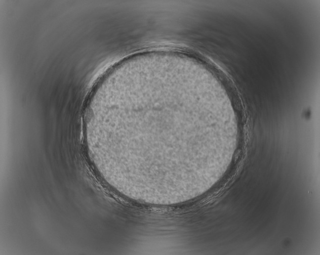 X0000115191267200912091102