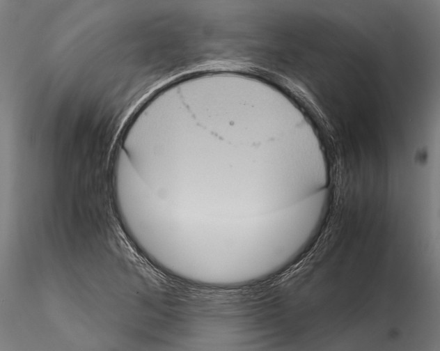 X0000115191268200912091102