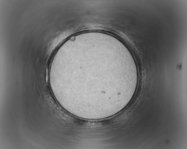 X0000115191269200912091102