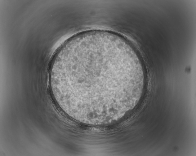 X0000115191271200912091102