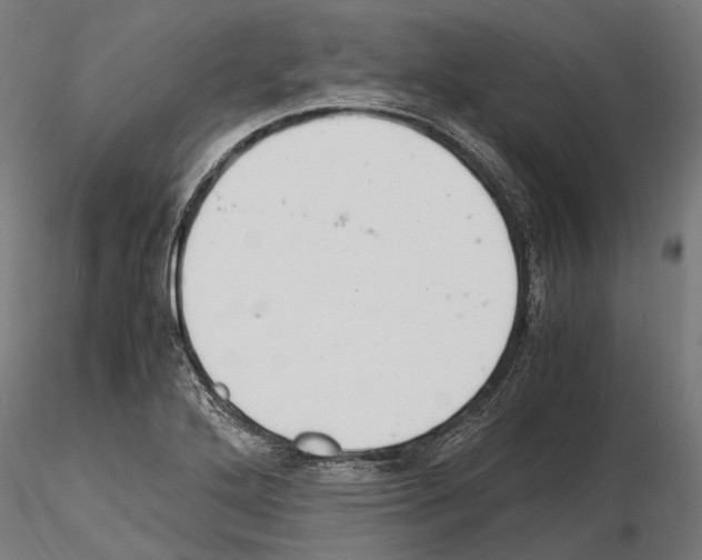 X0000115191272200912091102