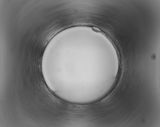 X0000115191273200912091102